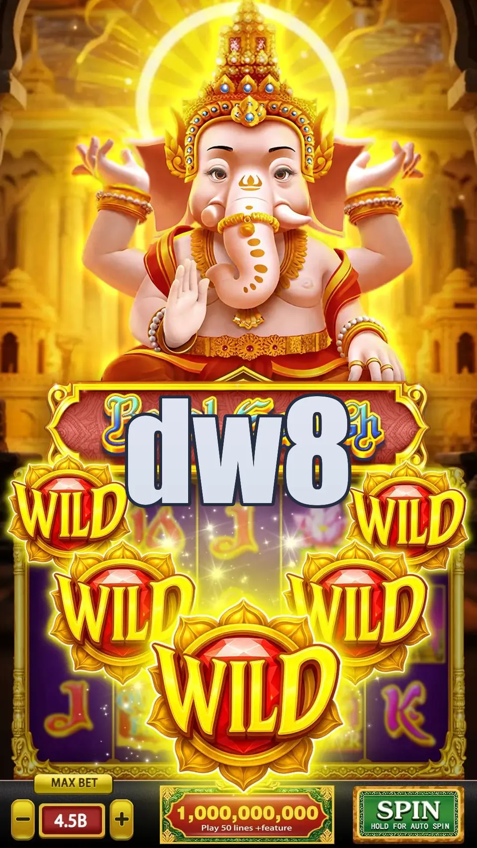 dw8 Login